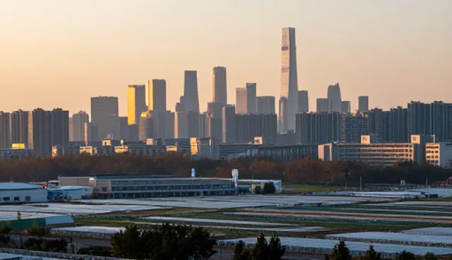 本地应用在技术开发中的适用情况与限制